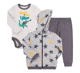 Комплект для мальчика, серый цена и информация | Комплекты одежды для новорожденных | kaup24.ee
