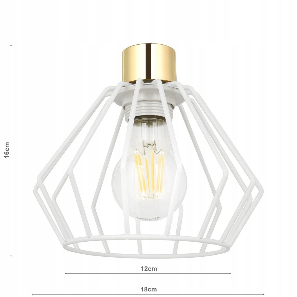 Led-lux laelamp, valge hind ja info | Laelambid | kaup24.ee