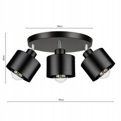 Потолочный светильник Led-lux, черный цена и информация | Потолочные светильники | kaup24.ee