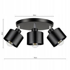 Led-lux laelamp, must hind ja info | Laelambid | kaup24.ee