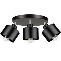 Потолочный светильник Led-lux, черный цена и информация | Потолочные светильники | kaup24.ee