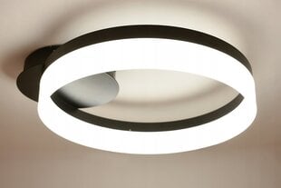 Подвесной светильник Led-lux LED цена и информация | Потолочный светильник, 38 x 38 x 24 см | kaup24.ee