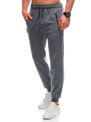 мужские спортивные штаны p1459 - серые 124508-7 цена и информация | Мужская спортивная одежда | kaup24.ee