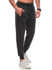 мужские спортивные штаны p1456 - темно-серые 124512-7 цена и информация | Мужская спортивная одежда | kaup24.ee