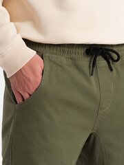 Püksid meestele Ombre Clothing 148097, roheline hind ja info | Meeste püksid | kaup24.ee