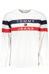 Kampsun meestele Tommy Hilfiger DM0DM16834, valge hind ja info | Meeste kampsunid | kaup24.ee