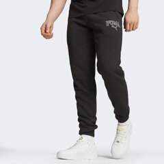 Штаны PUMA SQUAD Sweatpants TR 678972014099686718848 цена и информация | Мужская спортивная одежда | kaup24.ee