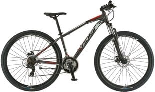 Горный велосипед Polar Wizard 1.0 22 L, 29", серый/красный цена и информация | Велосипеды | kaup24.ee