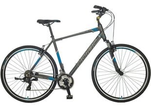 Linnaratas Polar Helix 20 XL, 28", hall/sinine цена и информация | Велосипеды | kaup24.ee