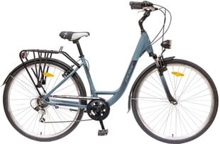 Городской велосипед Polar Strada 22 L, 28", серый/черный цена и информация | Велосипеды | kaup24.ee