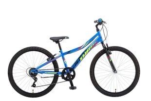 Подростковый велосипед Booster Turbo 240, 20", синий цена и информация | Велосипеды | kaup24.ee