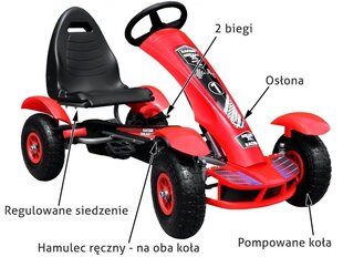 Kart lastele, punane hind ja info | Poiste mänguasjad | kaup24.ee