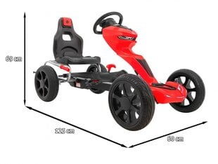 Kart lastele Grand Ride, punane hind ja info | Poiste mänguasjad | kaup24.ee