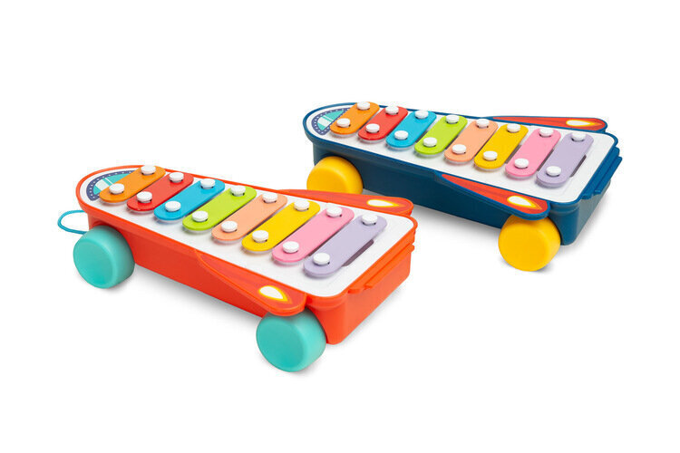 Hariv mänguasi vikerkaare ksülofon Toyz hind ja info | Imikute mänguasjad | kaup24.ee