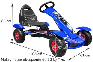 Kart lastele, sinine hind ja info | Poiste mänguasjad | kaup24.ee