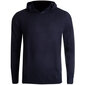 Meeste dressipluus Tommy Hilfiger, sinine hind ja info | Meeste pusad | kaup24.ee