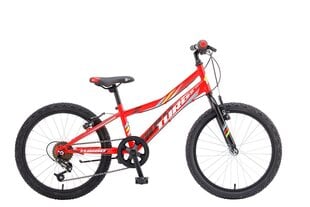 Jalgratas lastele Booster Turbo 200 21, 20", punane hind ja info | Jalgrattad | kaup24.ee