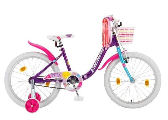 Jalgratas lastele Polar JR 20 Spring, 20", erinevad värvid цена и информация | Jalgrattad | kaup24.ee