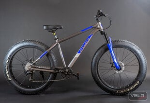 Горный велосипед Ewo React Grand Fat Bike, 26’’, синий цена и информация | Велосипеды | kaup24.ee