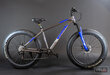 Maastikuratas Ewo React Grand Fat Bike, 26'', sinine hind ja info | Jalgrattad | kaup24.ee