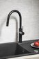 Väljatõmmatava kraaniga köögisegisti Flawo, matt must hind ja info | Köögisegistid | kaup24.ee