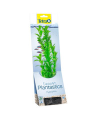 Kunsttaim akvaariumi Tetra DecoArt Plant L Hygrophila, 30 cm hind ja info | Akvaariumi taimed ja dekoratsioonid | kaup24.ee