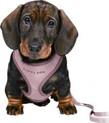 Шлейки с поводком для щенков Trixie Junior, 26-34 см/10 мм, фиолетовые цена и информация | Ошейники, подтяжки для собак | kaup24.ee