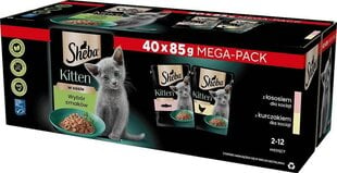 Sheba Kitten noortele kassipoegadele koos lõhe ja kanaga, 40x85 g hind ja info | Konservid kassidele | kaup24.ee