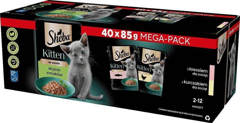 Sheba Kitten noortele kassipoegadele koos lõhe ja kanaga, 40x85 g цена и информация | Konservid kassidele | kaup24.ee