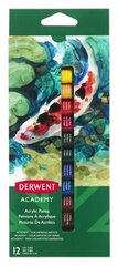 Derwent Academy akrüülvärvid 12 ml, 12 värvi hind ja info | Kunstitarbed, voolimise tarvikud | kaup24.ee