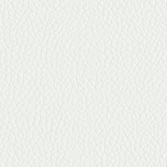 Искусственная кожа из ПВХ (PVC Leather) 140x500 см, белая  цена и информация | Другие принадлежности для мебели | kaup24.ee