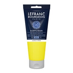 Akrüülvärv LB Fine 200ml 169 lemon yellow hind ja info | Kunstitarbed, voolimise tarvikud | kaup24.ee