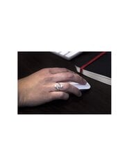 Beneto Серебряное кольцо с цирконами AGG143 цена и информация | Кольцо | kaup24.ee