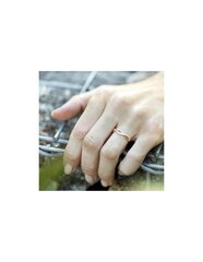 Beneto Hõbesõrmus kristallidega AGG190 hind ja info | Sõrmused | kaup24.ee
