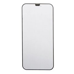 Закаленное стекло Fusion Privacy для iPhone 13|13 Pro|14 цена и информация | Защитные пленки для телефонов | kaup24.ee