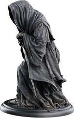 Статуя «Властелин колец» Ringwraith 15 см цена и информация | Атрибутика для игроков | kaup24.ee