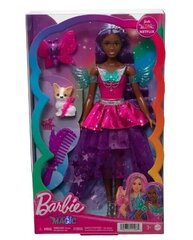 Nukk aksessuaaridega Barbie цена и информация | Игрушки для девочек | kaup24.ee