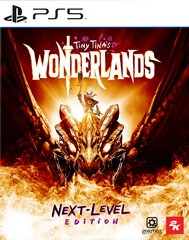 Tiny Tinas Wonderlands Next-Level Edition цена и информация | Компьютерные игры | kaup24.ee