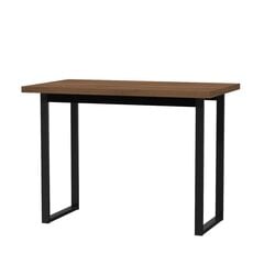 Письменный стол Лофт-7, коричневый цена и информация | Компьютерные, письменные столы | kaup24.ee