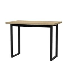 Письменный стол Лофт-7, коричневый цена и информация | Компьютерные, письменные столы | kaup24.ee