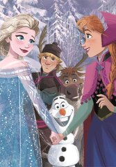 Пазл Clementoni Puzzle SuperColor Disney Frozen 25742, 104 детали цена и информация | Пазлы | kaup24.ee