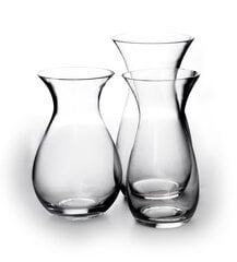 Serenite ваза 30 см цена и информация | Вазы | kaup24.ee