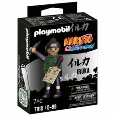 Joonis Playmobil Iruka цена и информация | Игрушки для мальчиков | kaup24.ee