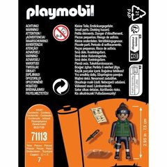 Joonis Playmobil Iruka цена и информация | Игрушки для мальчиков | kaup24.ee