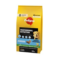 Pedigree Junior Professional Nutrition для щенков крупных и средних пород с мясом птицы и овощами, 12 кг цена и информация |  Сухой корм для собак | kaup24.ee