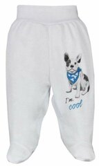 детские брюки cool dog , размер 68, белый цена и информация | Штаны для младенцев | kaup24.ee