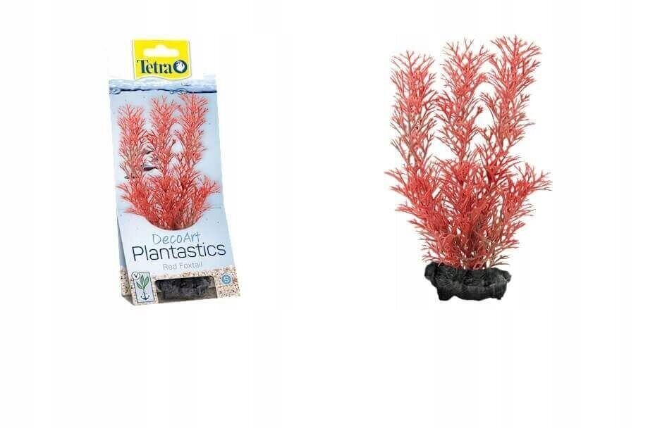 Akvaariumi kunsttaim Tetra DecoArt Plant L Foxtail Red, 30 cm цена и информация | Akvaariumi taimed ja dekoratsioonid | kaup24.ee
