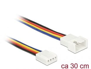 Delock, 4 pin, 0,3 m цена и информация | Кабели и провода | kaup24.ee