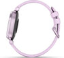 Garmin Lily® 2 Metallic Lilac цена и информация | Nutikellad (smartwatch) | kaup24.ee