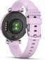 Garmin Lily® 2 Metallic Lilac цена и информация | Nutikellad (smartwatch) | kaup24.ee